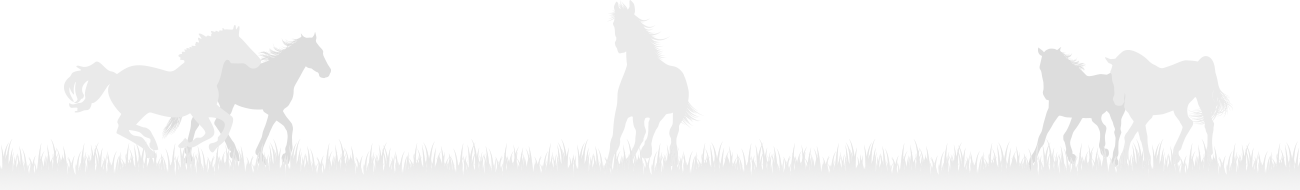 Girl on Horse