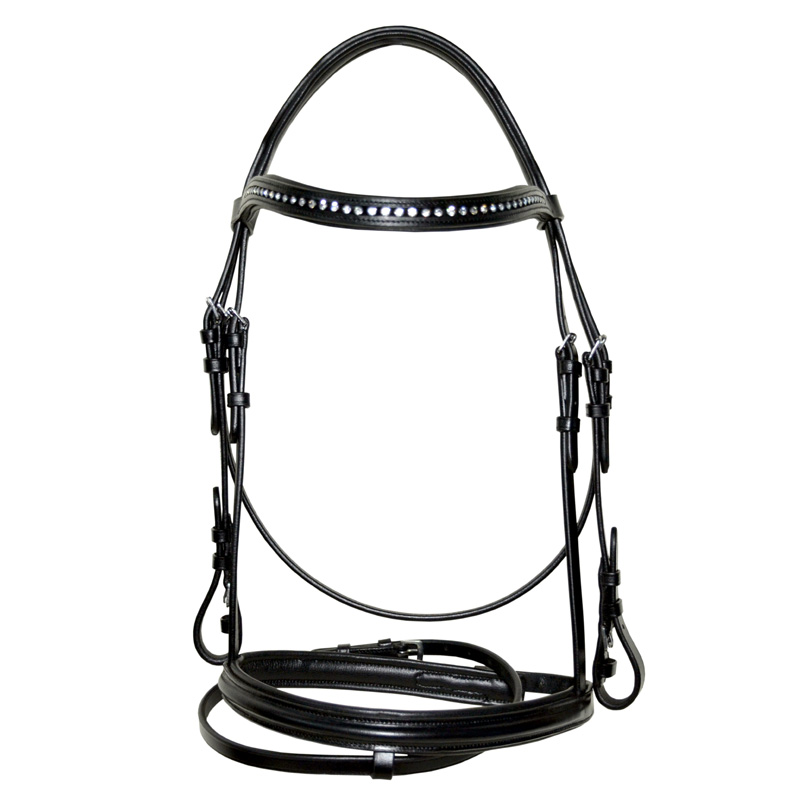 Bridle