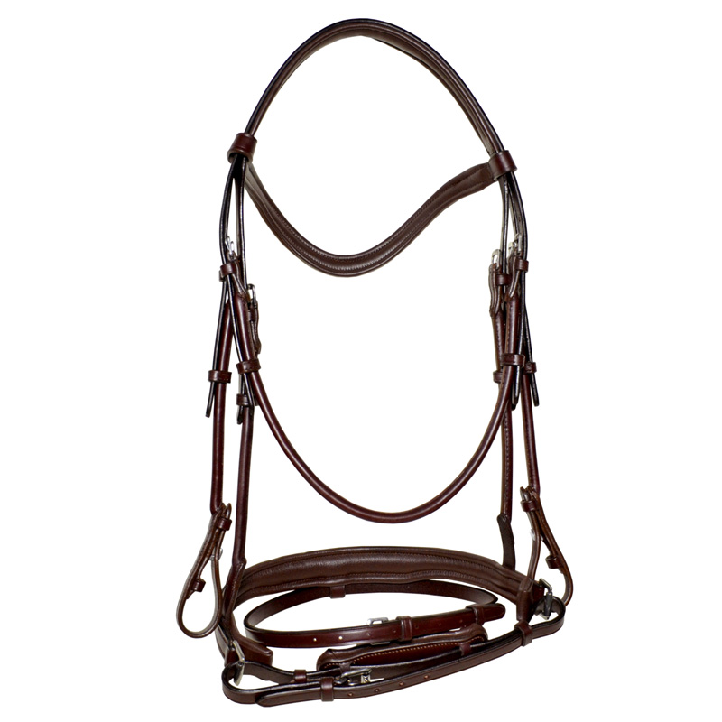 Bridle