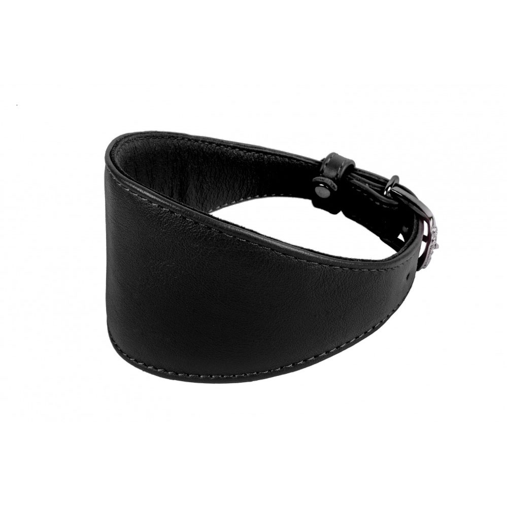 Dog Collar