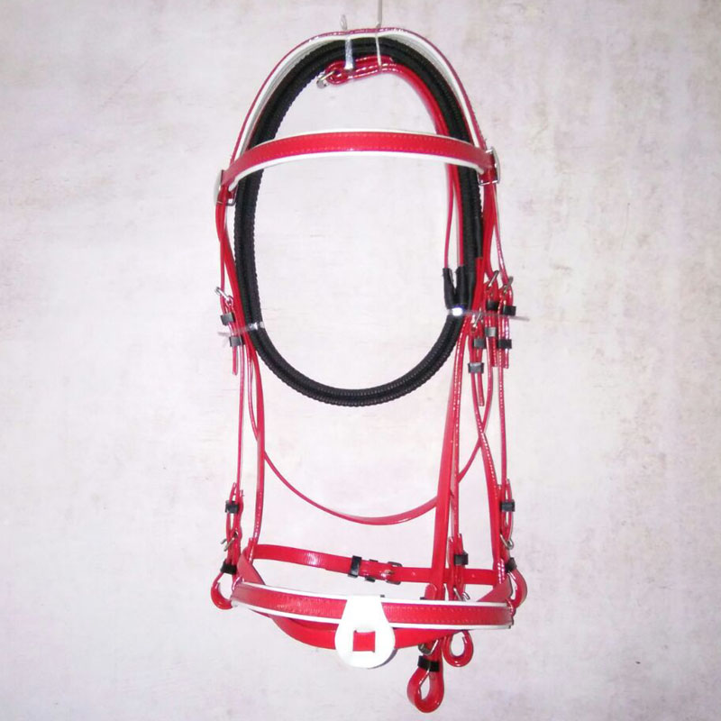 Bridle