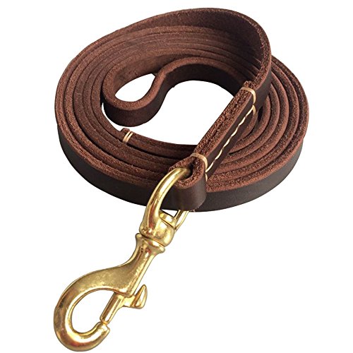 Dog Lead