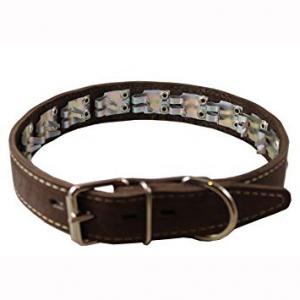 Dog Collar