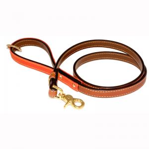 Dog Lead