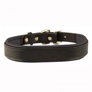 Dog Collar