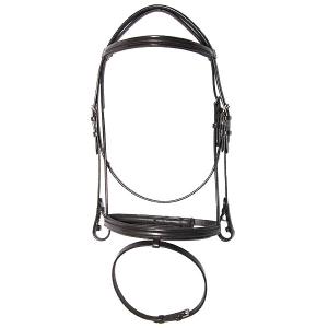 Bridle