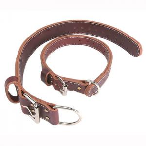 Dog Collar