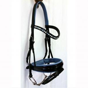 Bridle