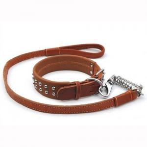 Dog Collar